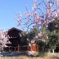 Hotel Casa Rural La colina mandarina en alcudia-de-monteagud