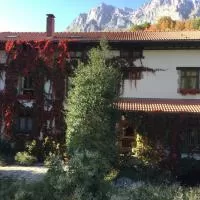 Hotel Hotel Rural Picos de Europa en oseja-de-sajambre