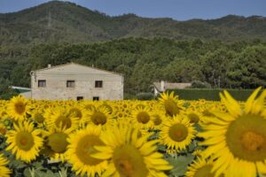 Mejores alojamientos en Sant Gregori, Girona