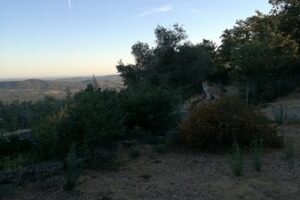 Mejores hoteles para dormir en Villamiel, Cáceres