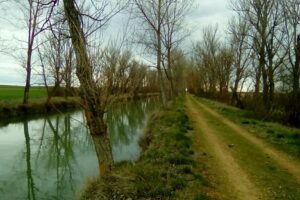 Los mejores hoteles de Ribas de Campos, Palencia